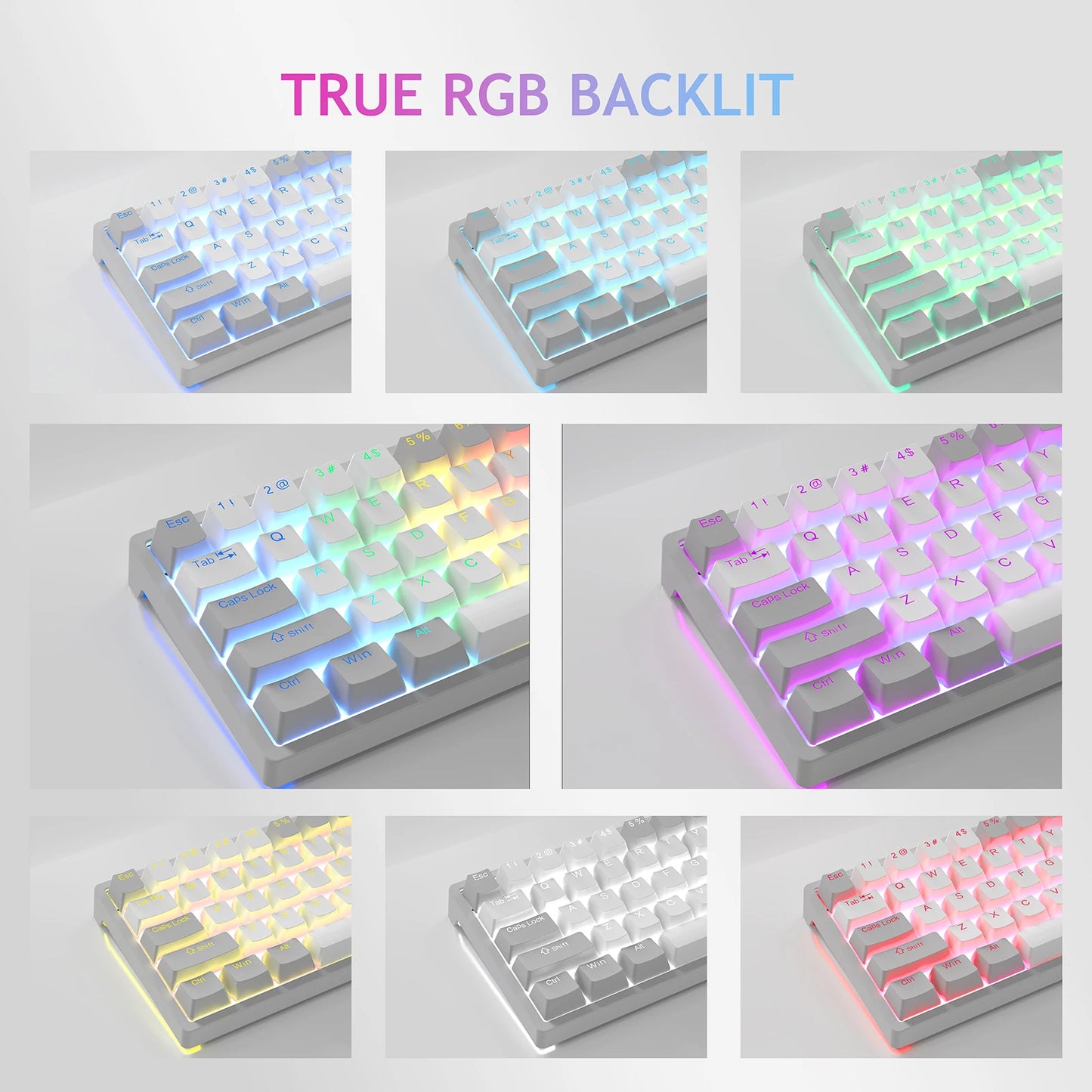 Next-Level Gaming Style: AULA RGB Mini Keyboard mit Brown Switches